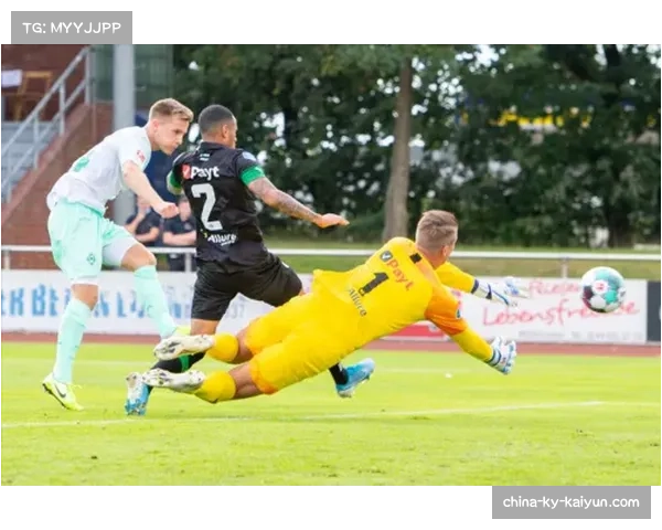 墨尔本胜利强势表现，本轮锁定2-0胜局，杰拉西奇、马塔助球队稳步前行